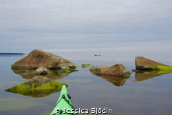 A very calm and magic afternoon in my kayak. by Jessica Sjödin 